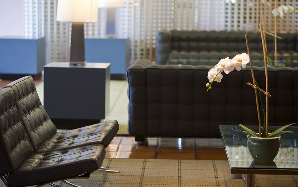 Experience Our Washington Dc Hotel Washington Plaza