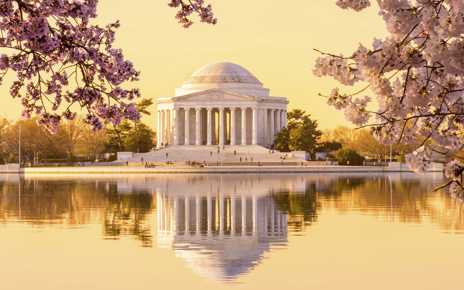 Explore The Top Things To Do in Washington, DC
