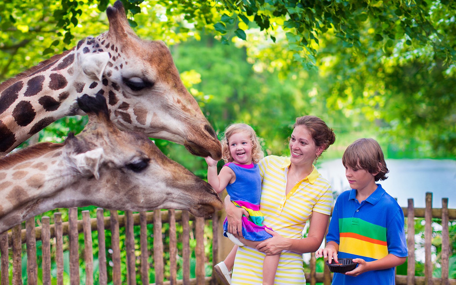 national zoo visit